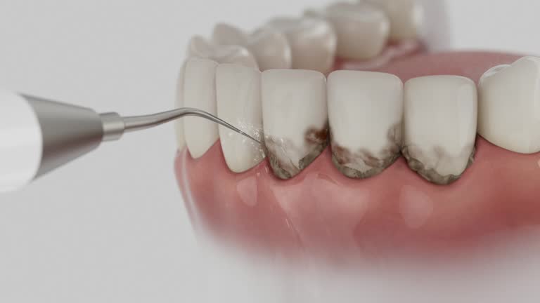 Reliable Dental contractor in Lexington, IL by Dentist Open Now